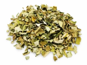 Fulles seques de moringa sobre fons blanc